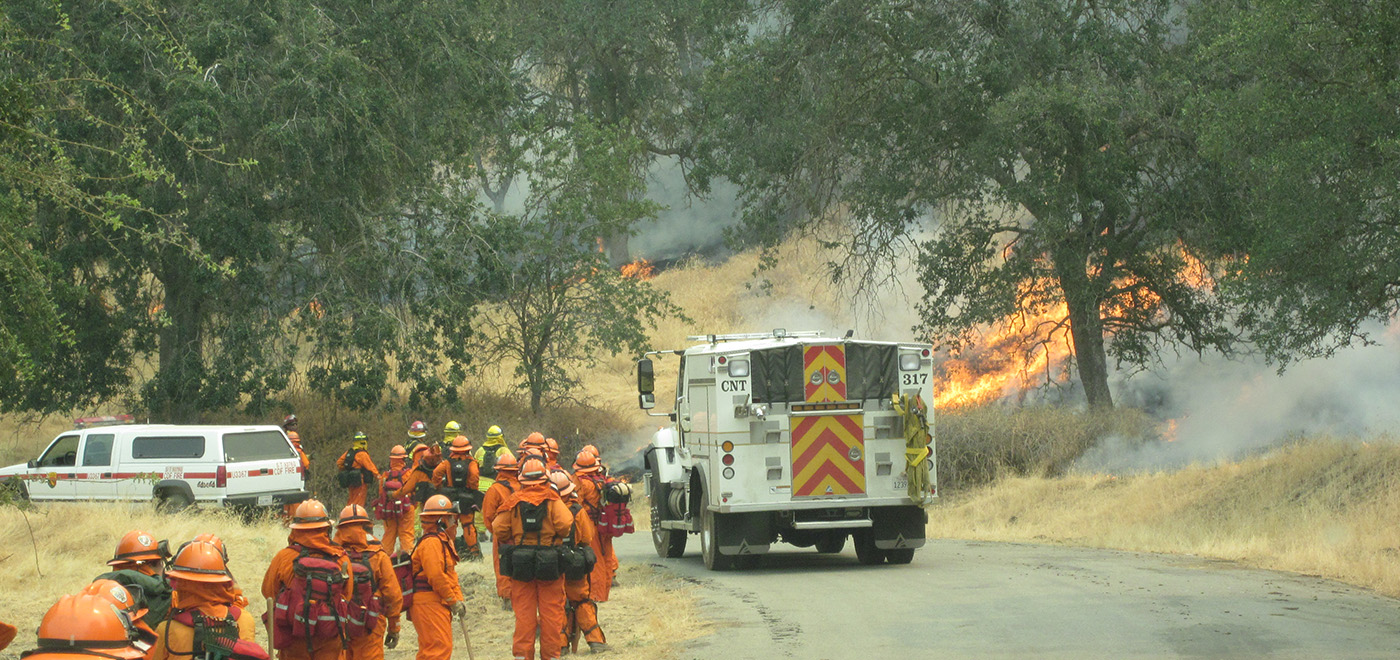 Grass Fire