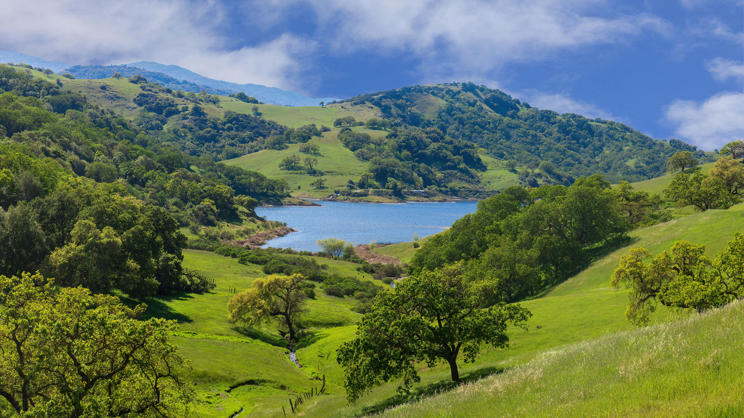 Rolling green hills  with oak trees surrounding reservoir